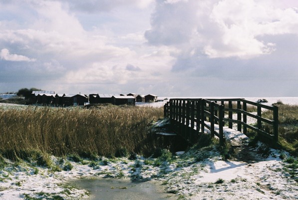 Click to view normal size