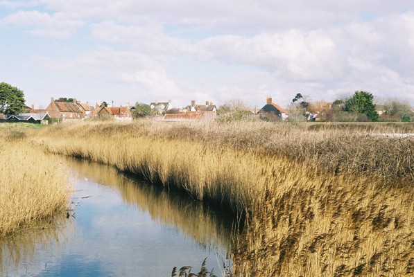 Click to view normal size