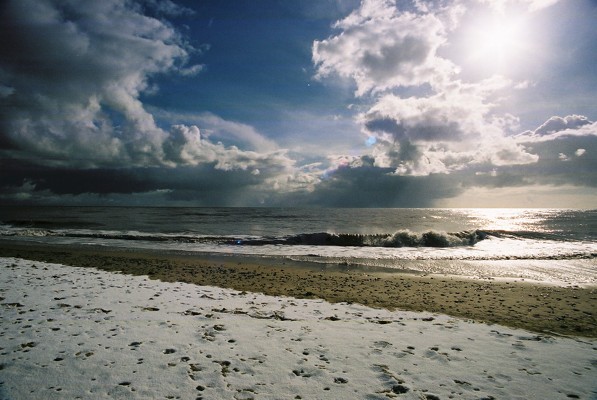 Click to view normal size