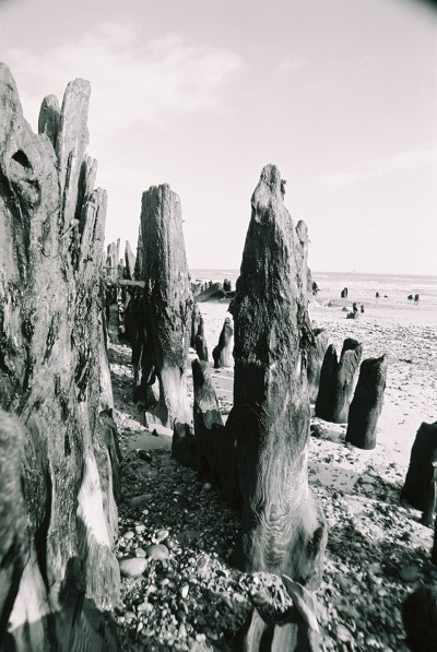 Click to view normal size