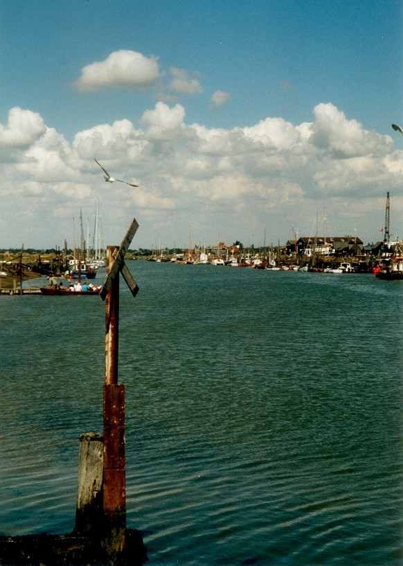 Click to view normal size